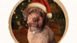 Christmas is coming!