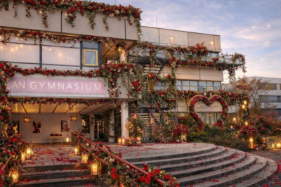 160 Rosen und Liebe überall